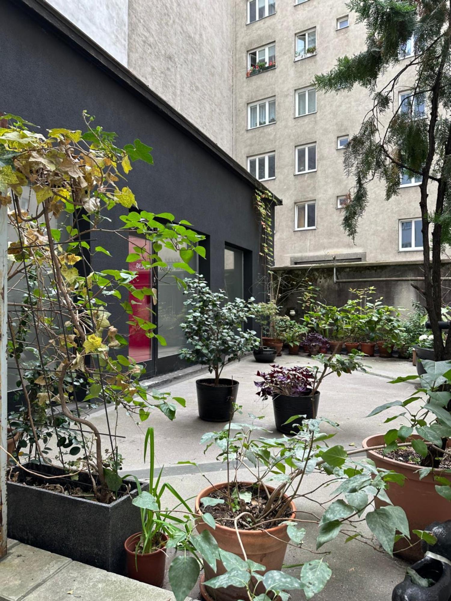 Apartment Opera Wien Eksteriør bilde